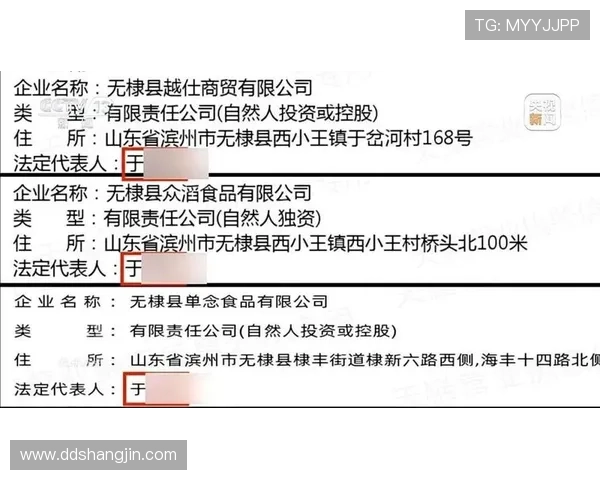 2025年最新白菜价格表及市场分析