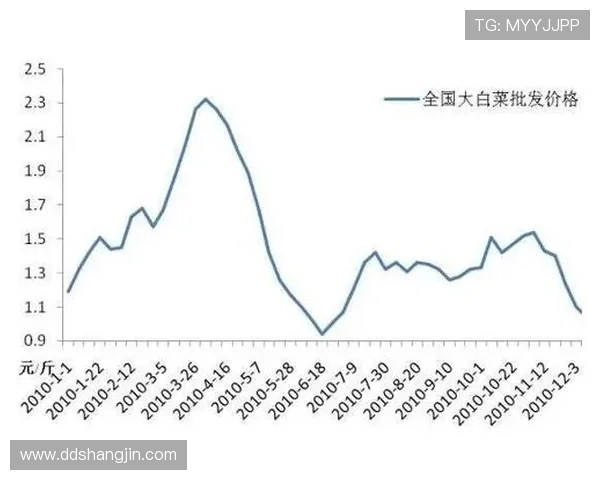今日白菜行情价格分析及市场走势预测