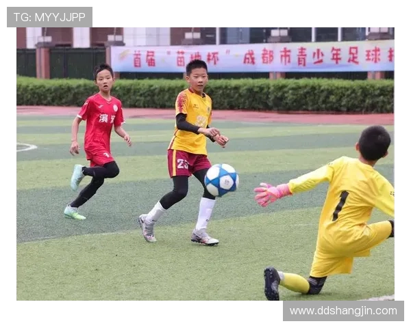 8人制足球比赛：小场地大激情，尽享足球乐趣的精彩赛事